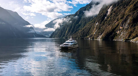 milford sound cruise