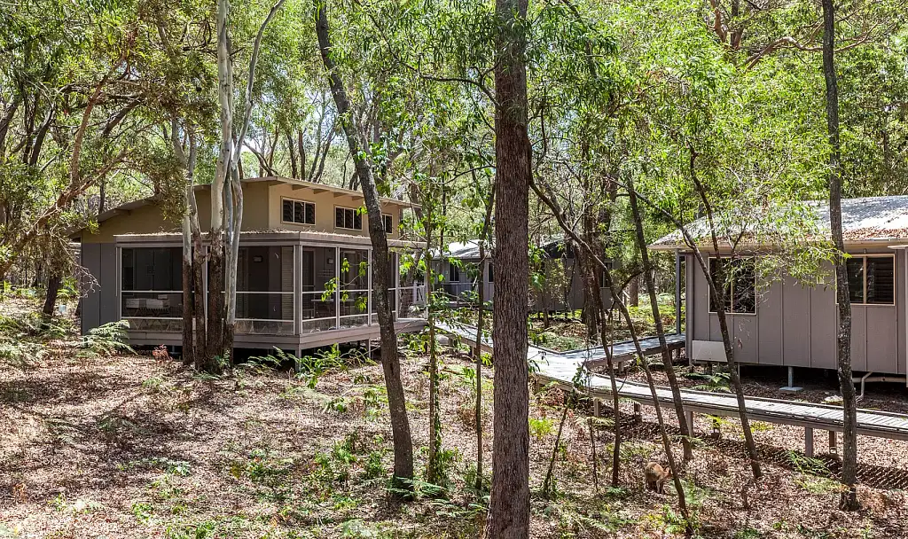 Gold Coast Surf Camp - 2 to 4 nights