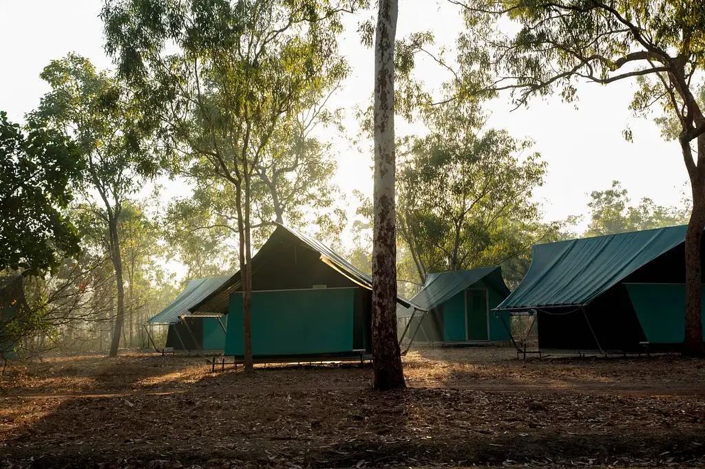 3 Day Kakadu to Litchfield 4WD Safari Tent Camping | From Darwin (BDTNT100EXT)