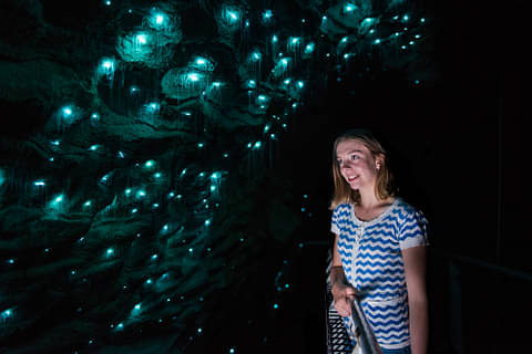 Ruakuri Cave