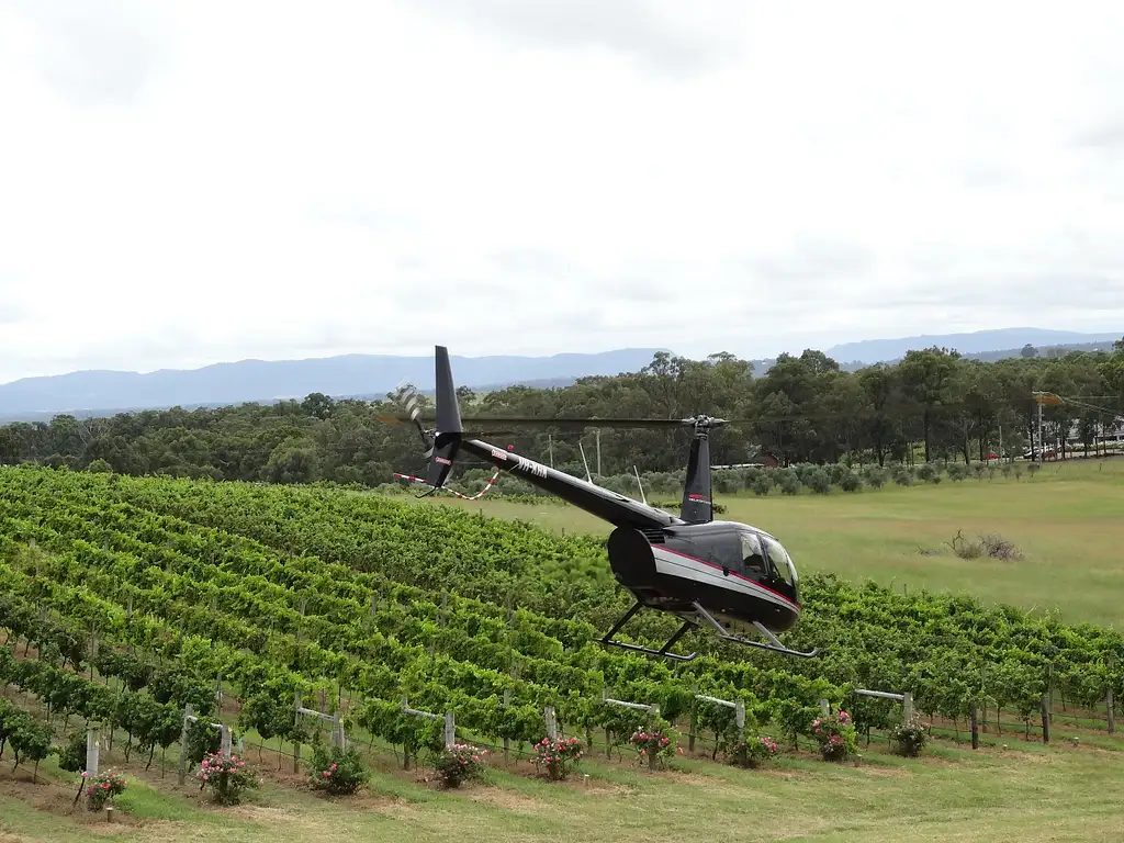 Hunter Valley Wine Tasting Helicopter Flight