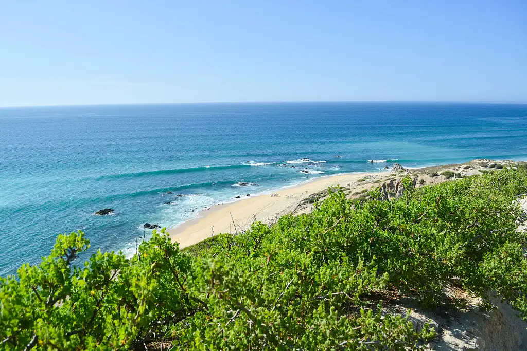 4WD Jeep Ride - National Park of Cabo Pulmo