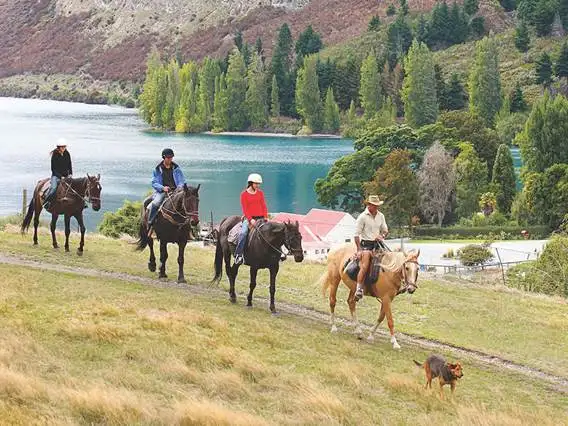 Walter Peak Horse Treks | Queenstown