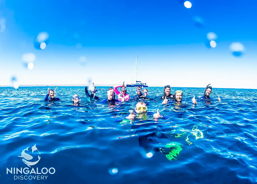 Ningaloo Whale Shark Swim on a Catamaran (Mar-July) | From Exmouth