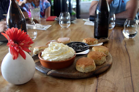 Cairns City Sights and Dinner Cruise Special