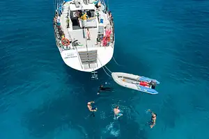 Snorkel SV Summer Jo Whitsundays