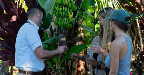 Helicopter Flight Maui deals