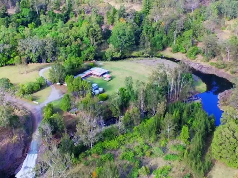 Gold Coast Tamborine Mountain, Lamington NP & O'Reilly's Tour