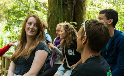 Bay of Islands Winterless North Tour Discount
