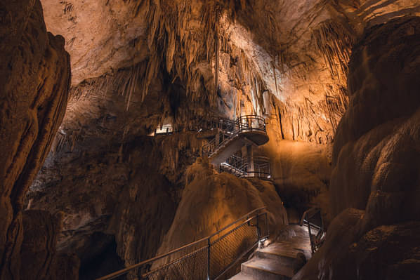 Hastings Caves, Tahune & Huon Valley Tour Deal