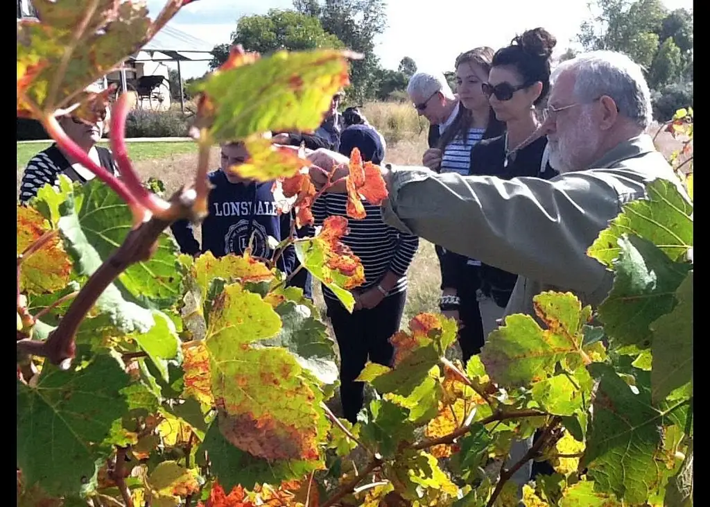 Barossa Valley Full-Day Tour from Adelaide with Maggie Beer Farm Shop