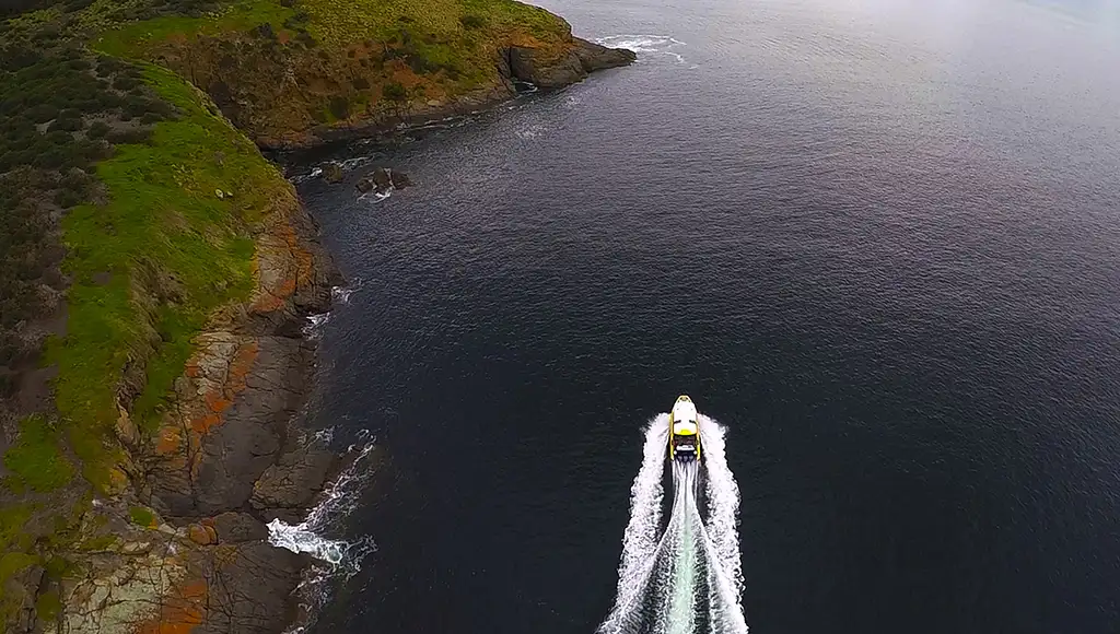 2.5 Hour Lighthouse And Island Cruise From Hobart - Iron Pot