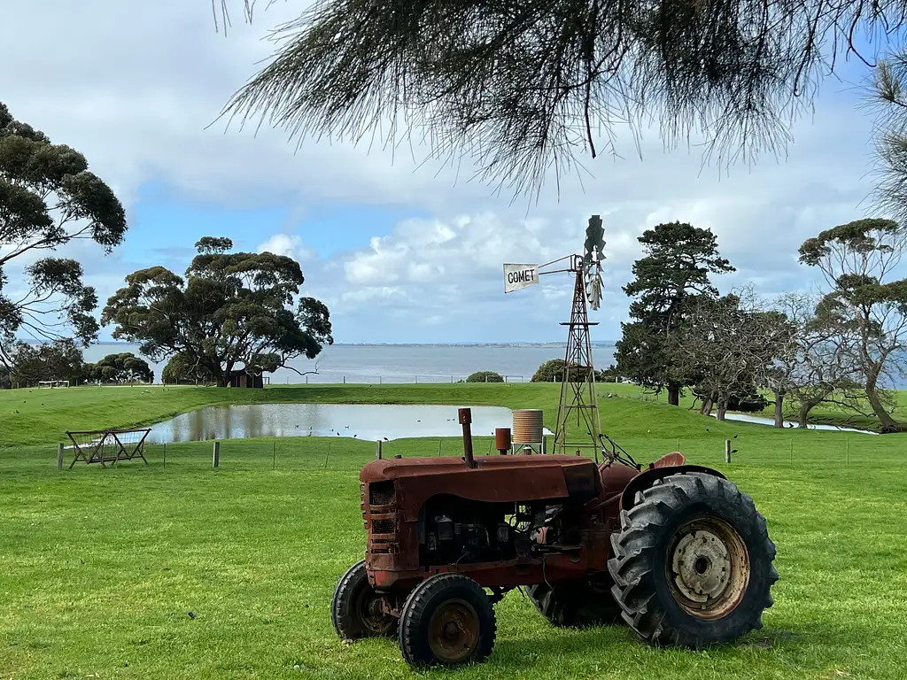 Phillip Island Penguin Parade & Churchill Island Farm Bus Tour