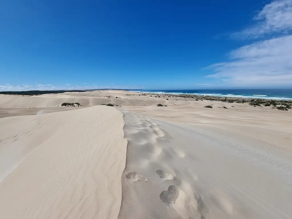 Coffin Bay Half-Day Off-Road Adventure Tour