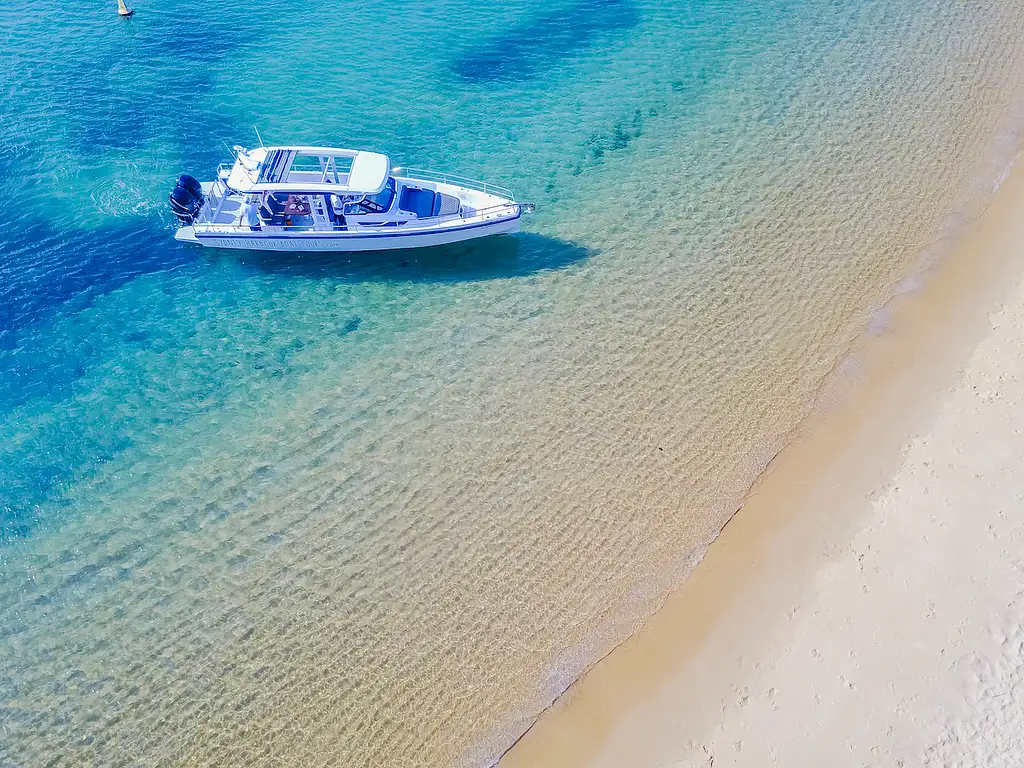 Sydney Icons, Bays & Beaches Cruise | Half Day