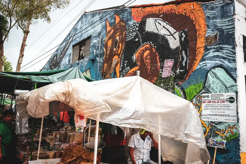 Mexico City Neighborhood Walking Tour