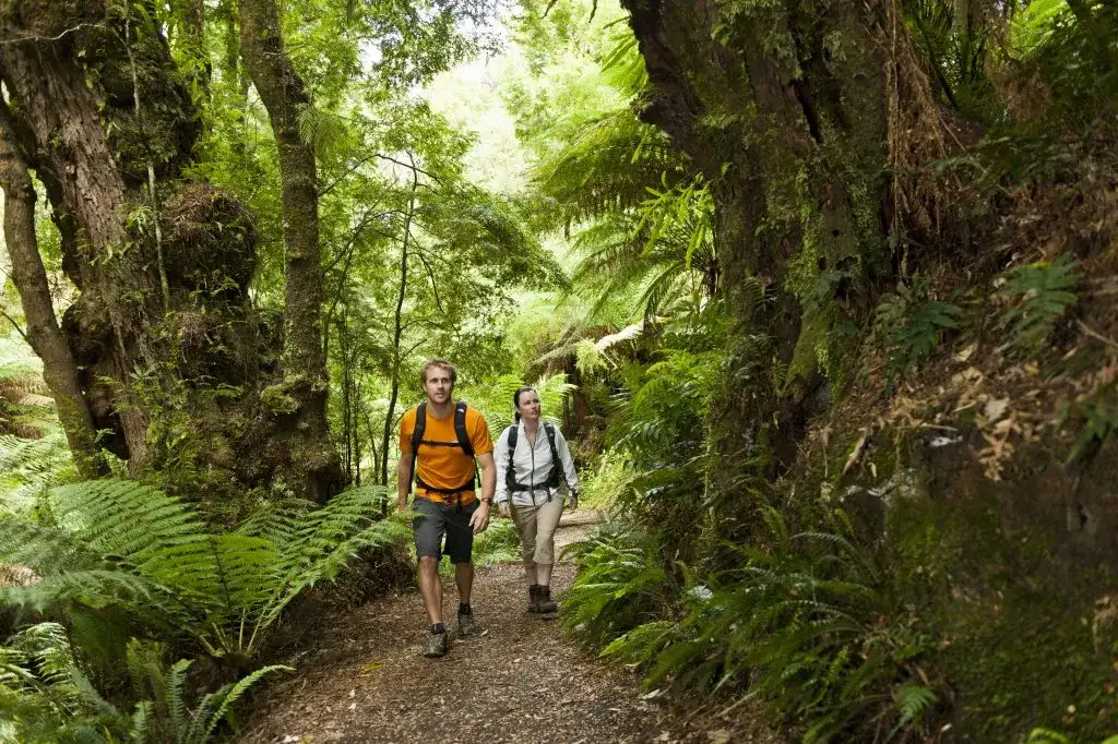 4 Day Great Ocean Walk Highlights