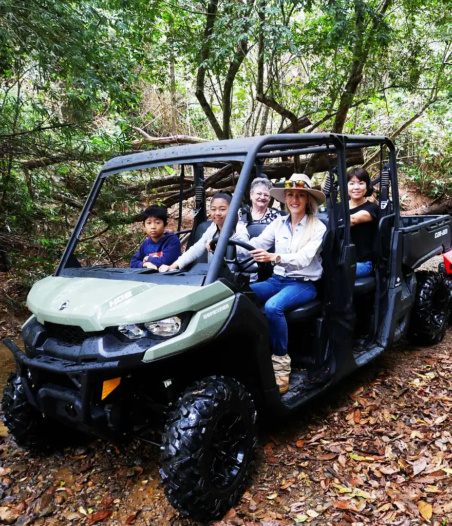 1 Hour Rainforest Buggy Tour