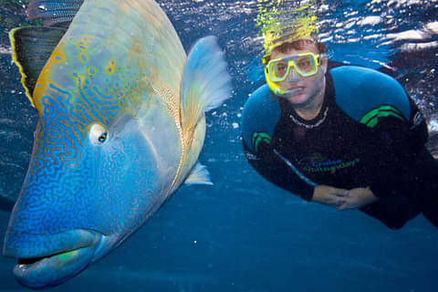 Great Barrier Reef tour promo code