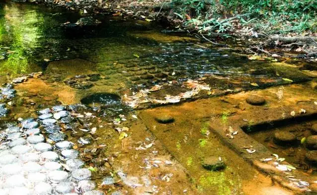 Phnom Kulen Half Day Tour