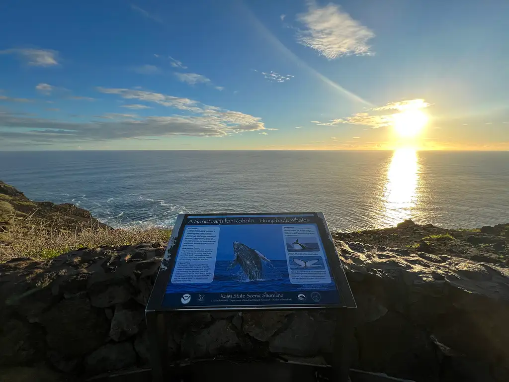 Sunrise Hike + Oahu East Experience - Makapu'u Lighthouse Trail