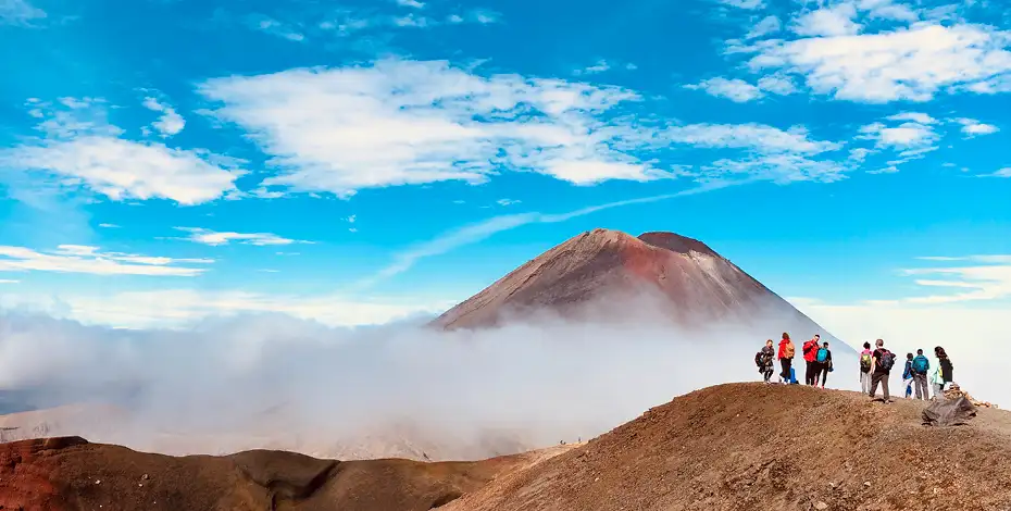 24 Day Kea Tour | Auckland to Auckland | Stray