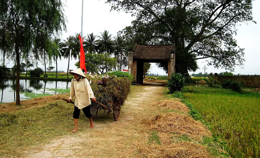 Full-day Duong Lam Ancient Village Tour | From Hanoi | Private Tour