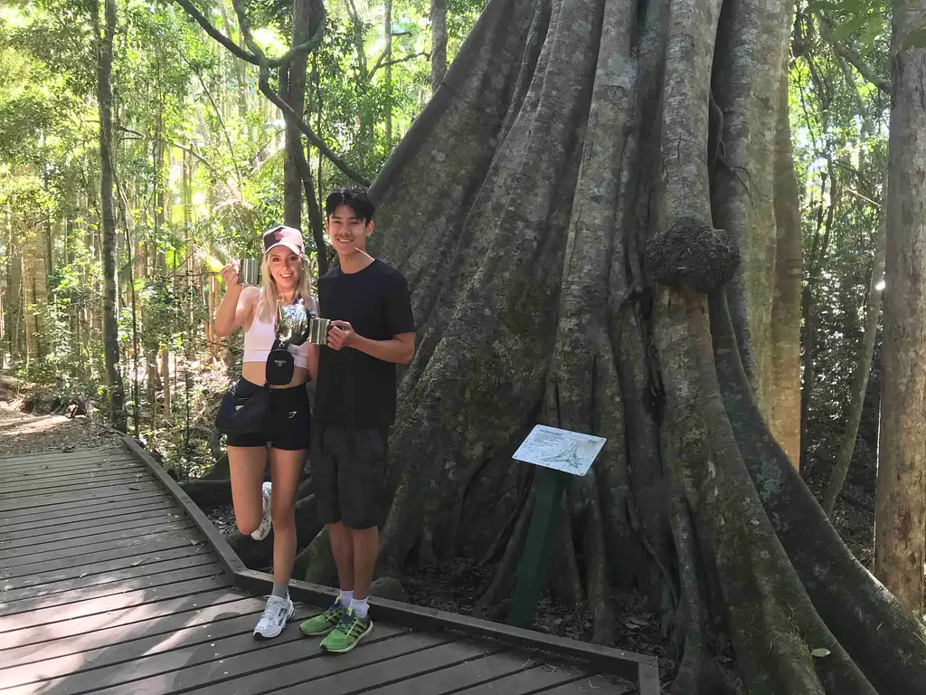 Maleny and Montville Tour with Artisan Village and Wine Tasting (Premium Private Tour)