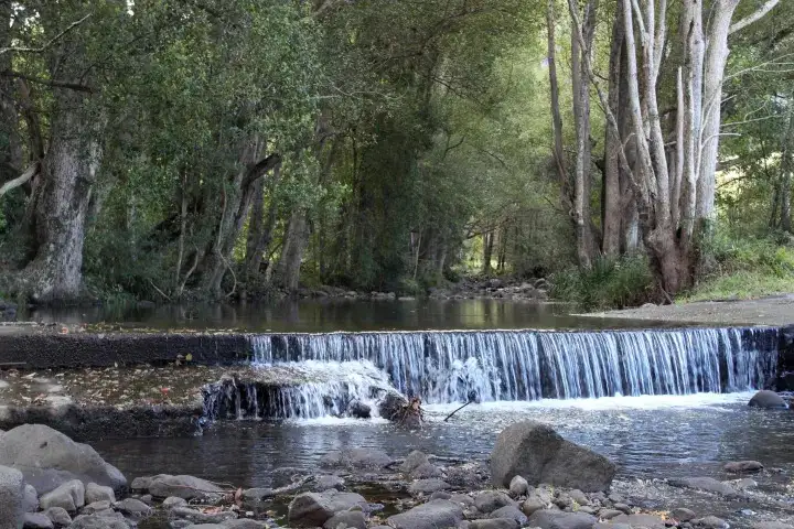 Indigenous Yarning Tour | Tweed Heads