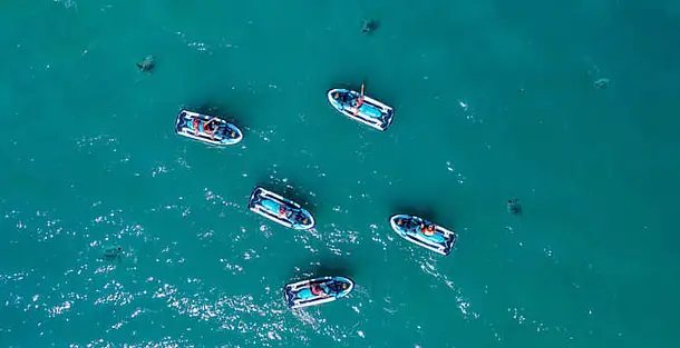 Airlie Adventure Jet Ski Tour