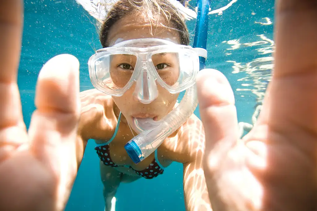 Great Barrier Reef Day Trip | Snorkel & Cert Dive Options