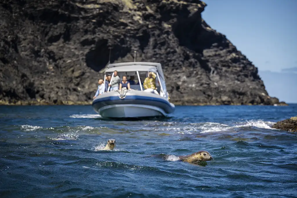 Eco-Certified Sea Wirrina Scenic Cruise