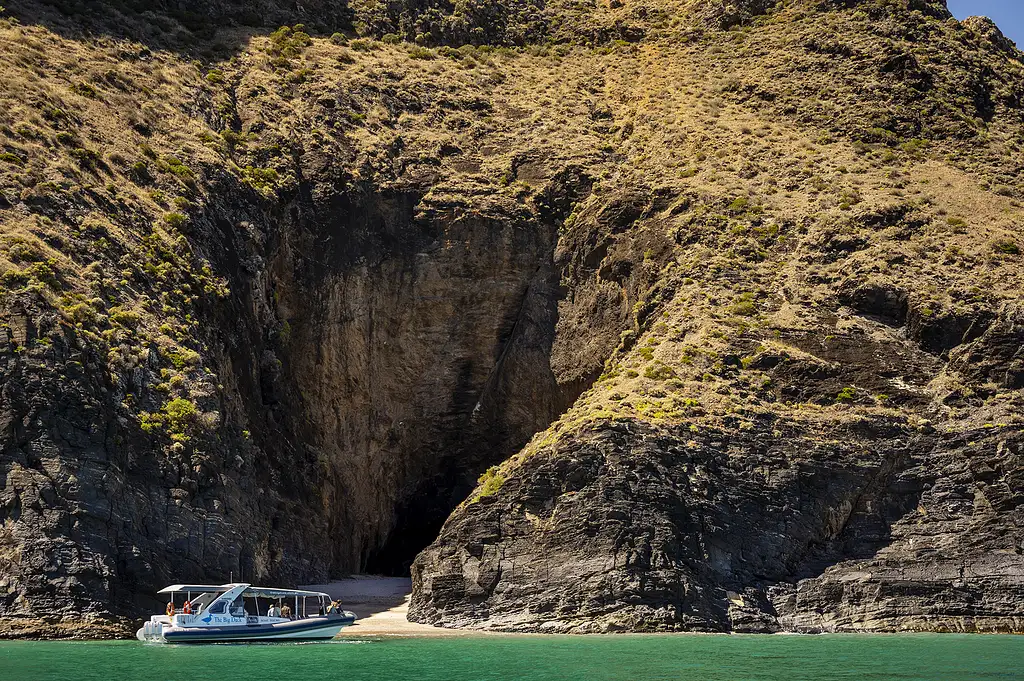 Eco-Certified Sea Wirrina Scenic Cruise