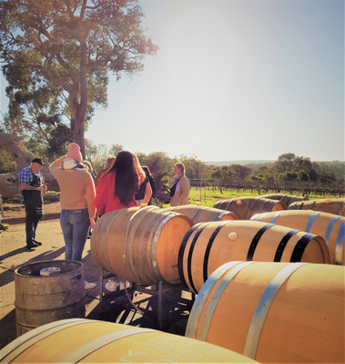 all about margaret river tours