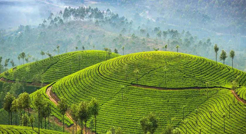 Amazing Kerala