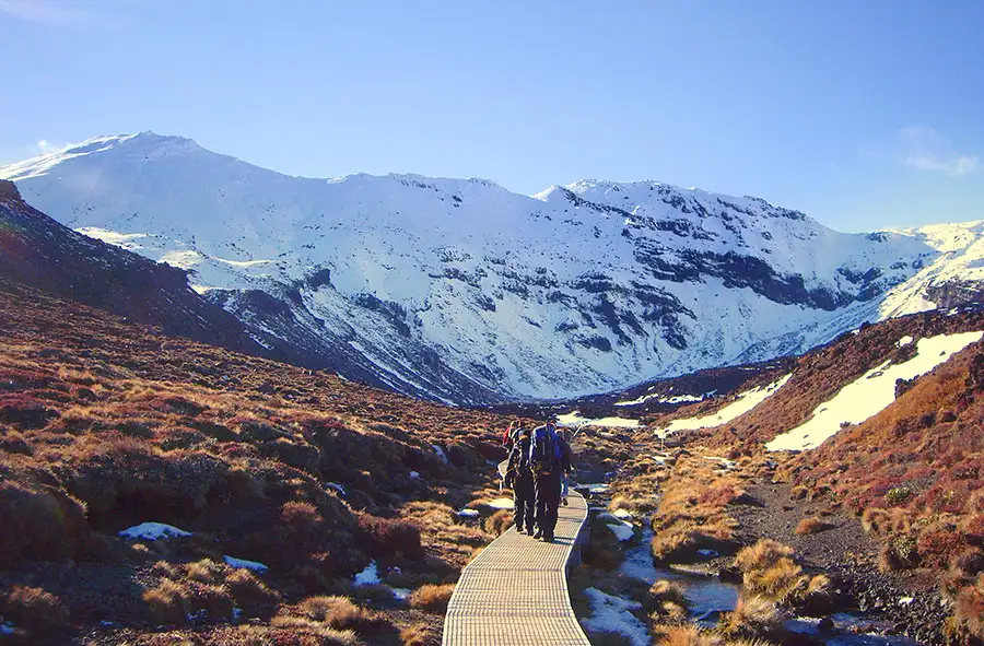 Tongariro Alpine Crossing Shuttle - Return & One Way