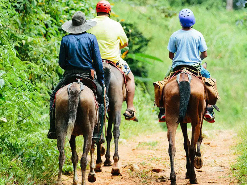 Horseback Riding Tocori Waterfalls & Ranch