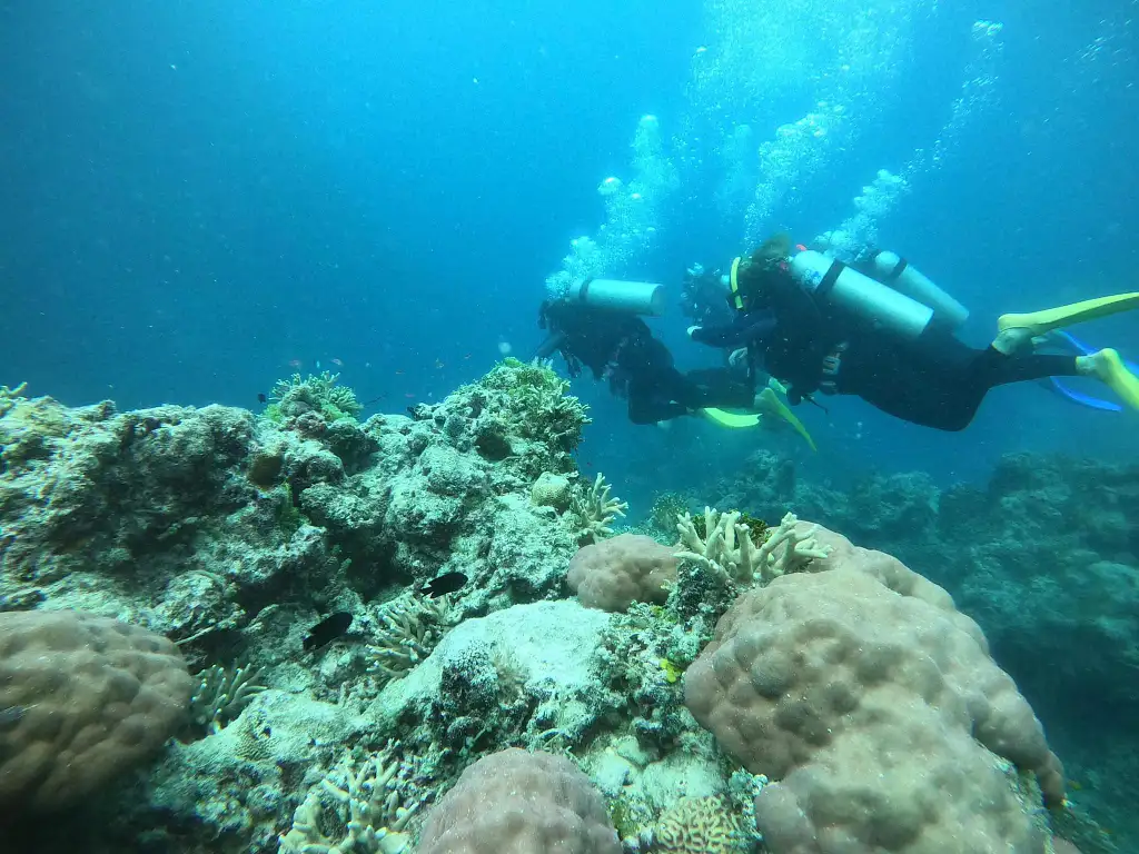 3 Day/3 Night Whitsundays Adventure on Summer Jo