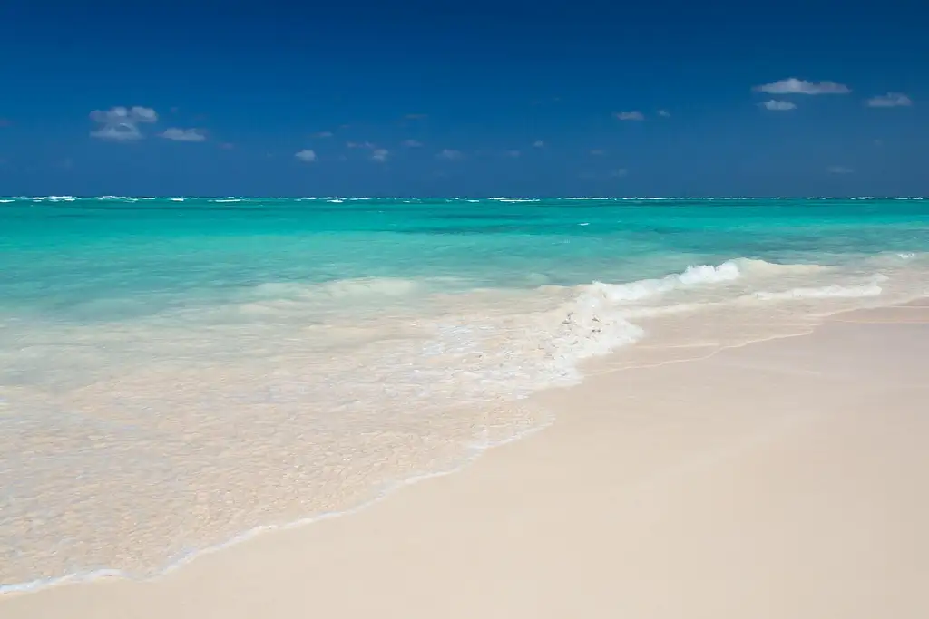 Grand Bahama Island by Fast Ferry, with Optional Pig Beach Visit