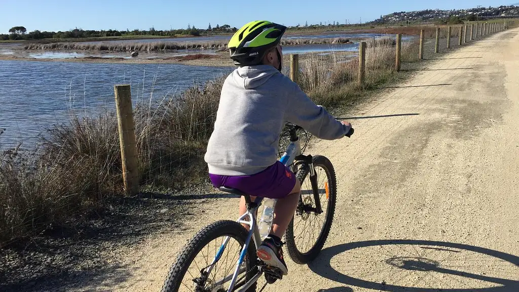 Ahuriri Napier Loop Cycling Tour