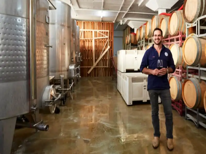 Grains & Grapes Hunter Valley Beer & Wine Tour
