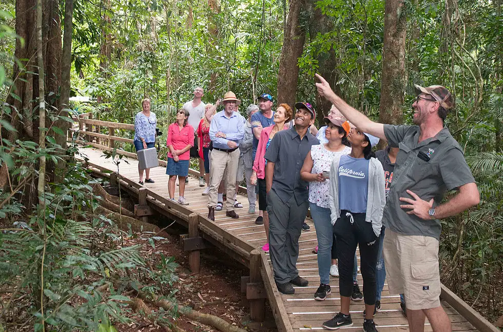 1 Day Daintree and Cape Tribulation Tour