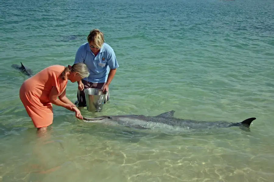 9 Day Perth To Broome Adventure