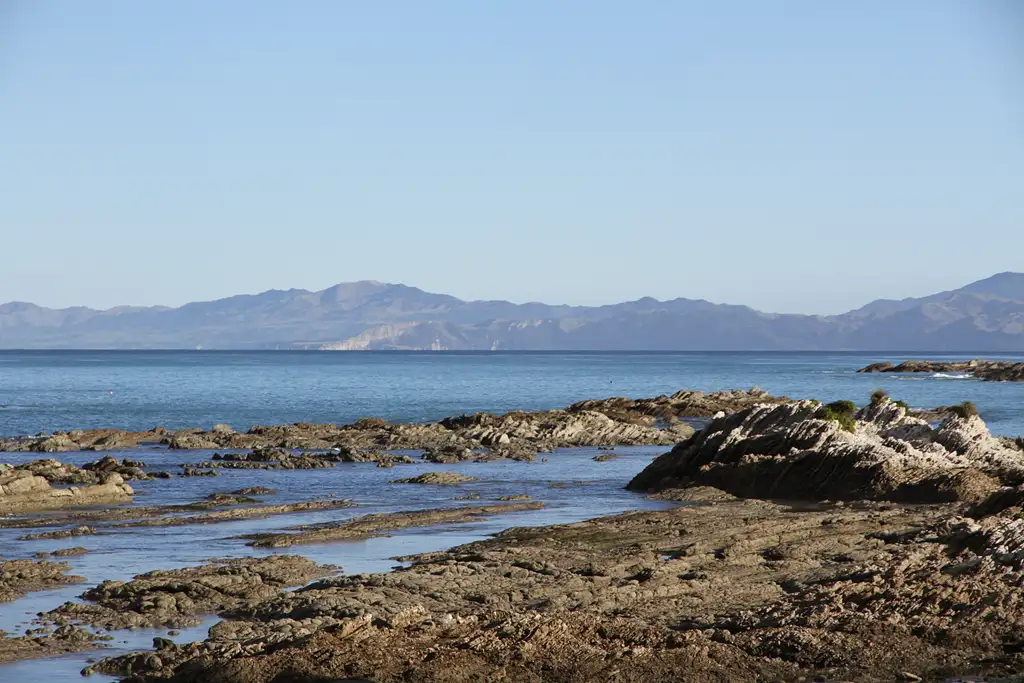 South Island Kaikoura Whale Watching Tour