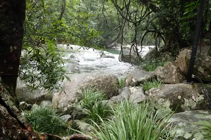 Waterfall & Rainforest Tour | From Cairns