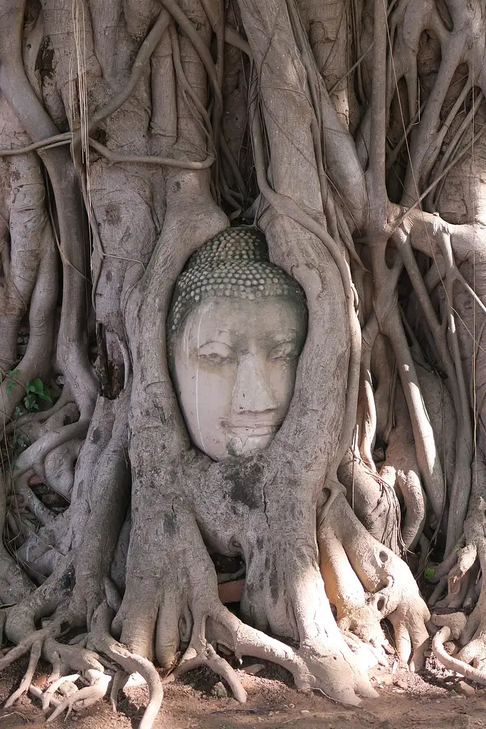 Ayutthaya's Lost City & Majestic Temples | Full Day Private Tour