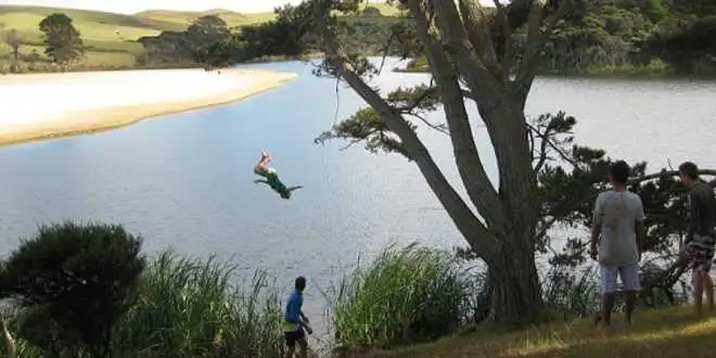 Ultimate Surf Tour package - Ngunguru, New Zealand