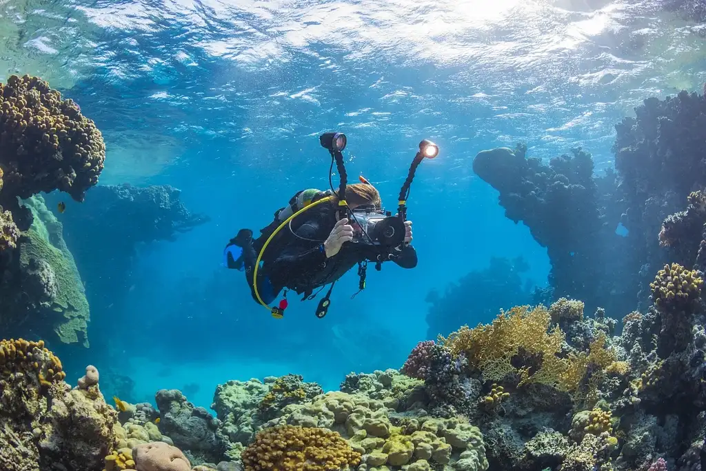 Discover Scuba Diving | Introductory Ocean Dive