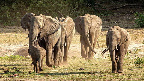 15 Day Southern Africa Encompassed Discount