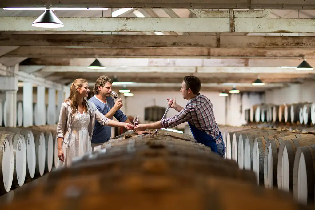 Centenary Tour - Seppeltsfield Barossa